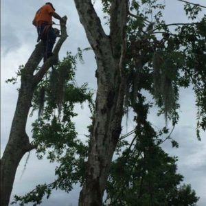 Meet your Posher, Ron